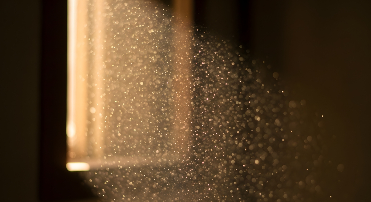 vecteezy_dust-particles-floating-in-a-sunbeam_71882714